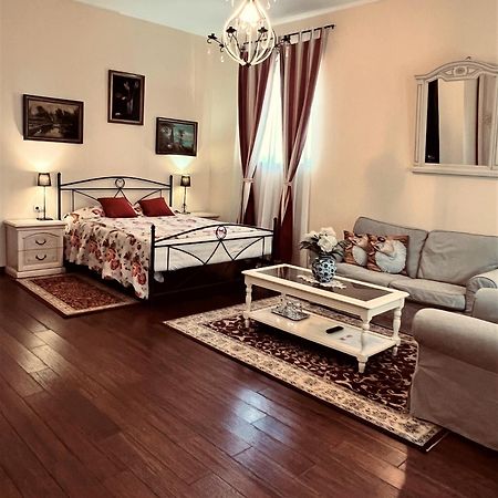Park Villa - Boutique Hotel 티미쇼아라 외부 사진