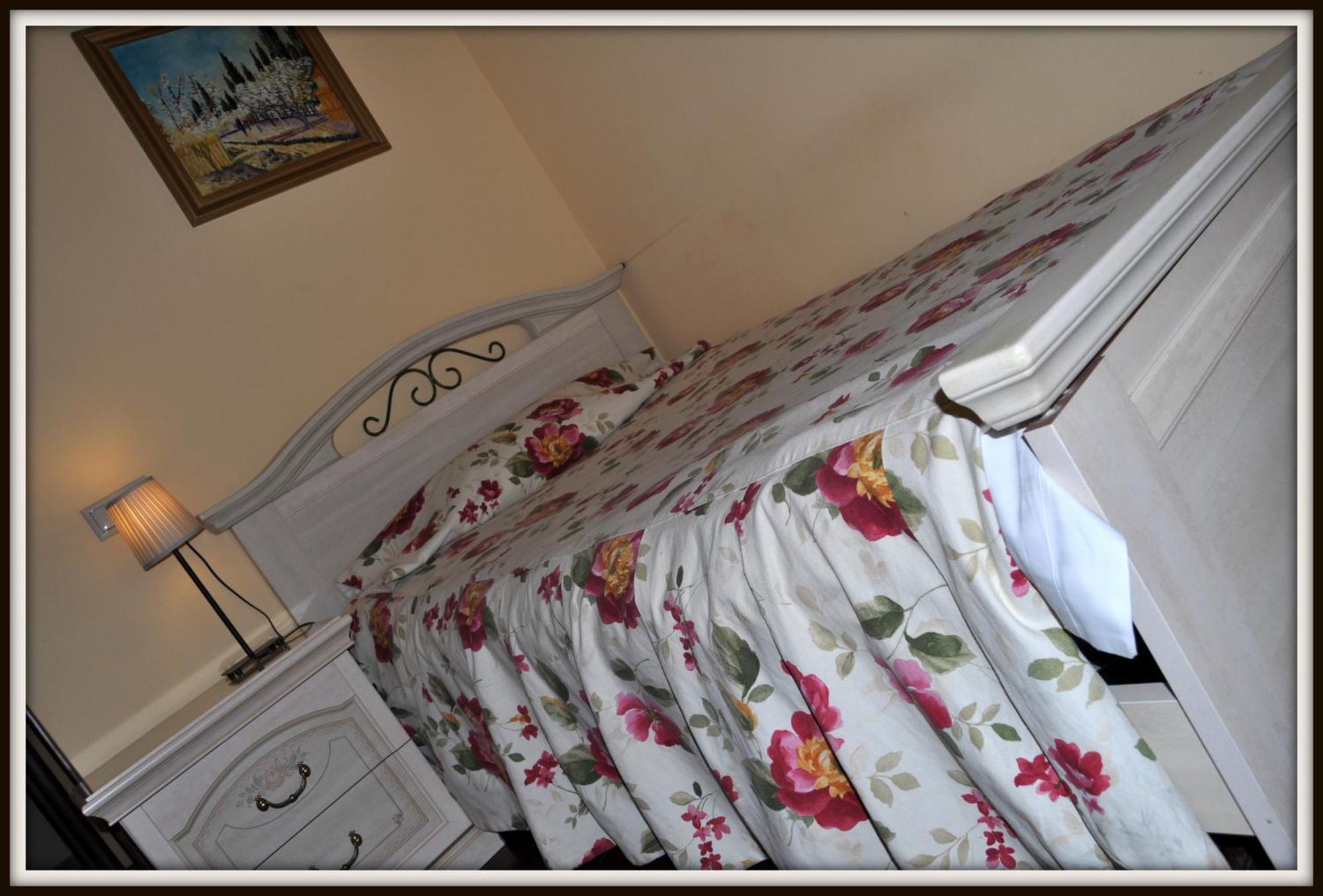 Park Villa - Boutique Hotel 티미쇼아라 객실 사진